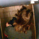 This seemingly genuine voyeur video features a stall in an airport bathroom rigged with a microphone in the toilet and a hidden camera above. This unsuspecting girl pisses, shits and wipes herself with fantastic picture & audio. 720P HD. About 2 minutes.
